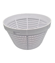 Cestello Skimmer Weltico Astralpool