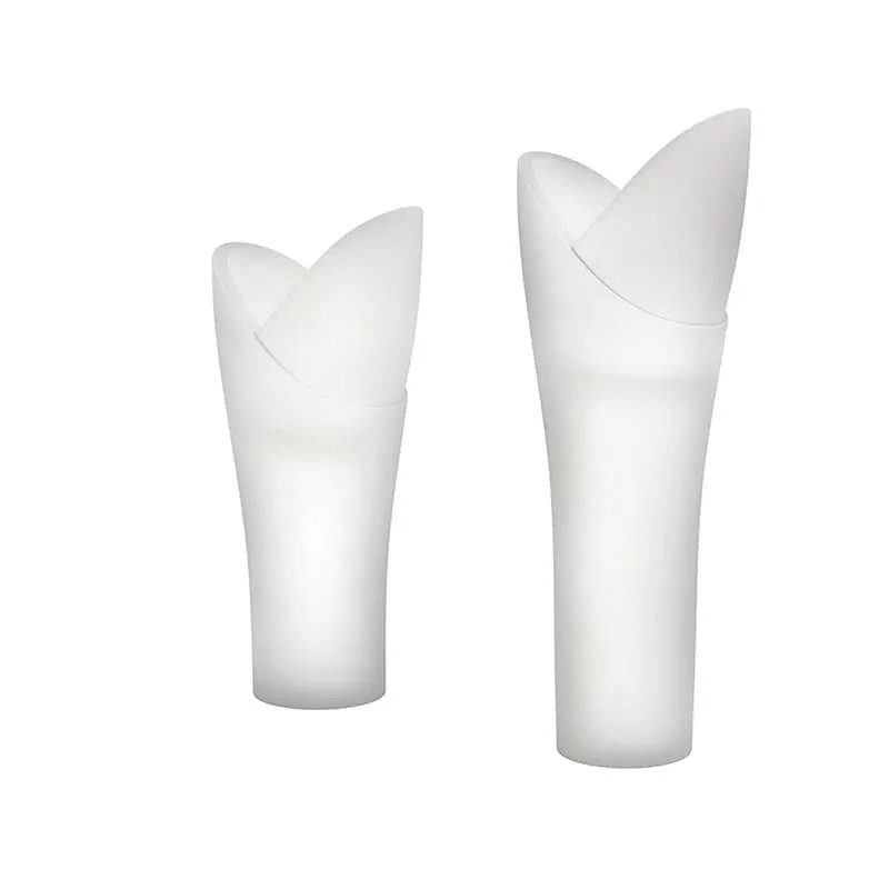 Cache - POT ASSIA CON LUCE H.115