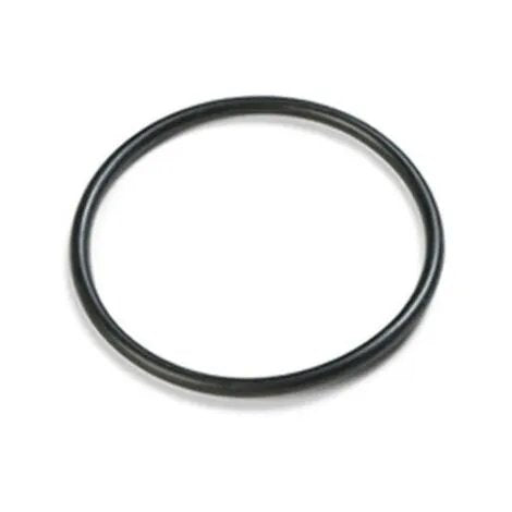 Oring Coperchio Pre - FILTRO ZODIAC R0480201