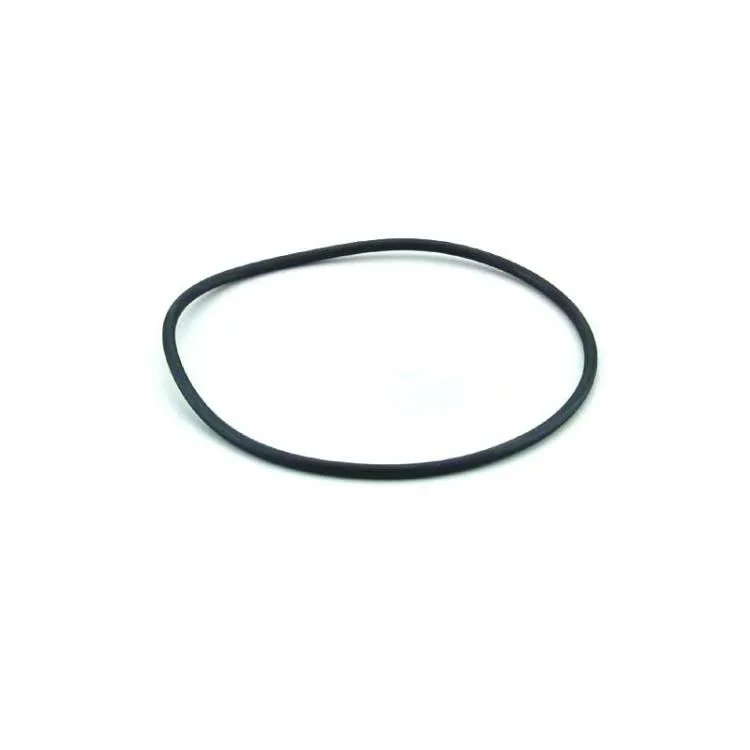 Oring Coperchio Astralpool 4404180201