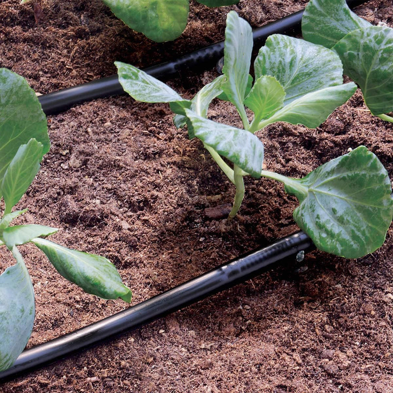 Tubo Gocciolante - DISPONIBILE IN 2 LUNGHEZZE: 25 M E 50 M