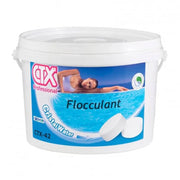 Pastiglie Flocculante 100G 5 Kg Ctx - 42