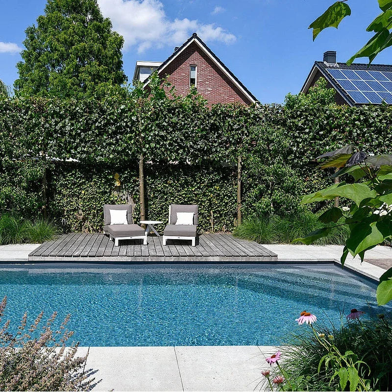 Rivestimento per Piscina RENOLIT ALKORPLAN 2000 – Membrana Armata 1,5 mm (Rotolo 1,65 × 25 m)