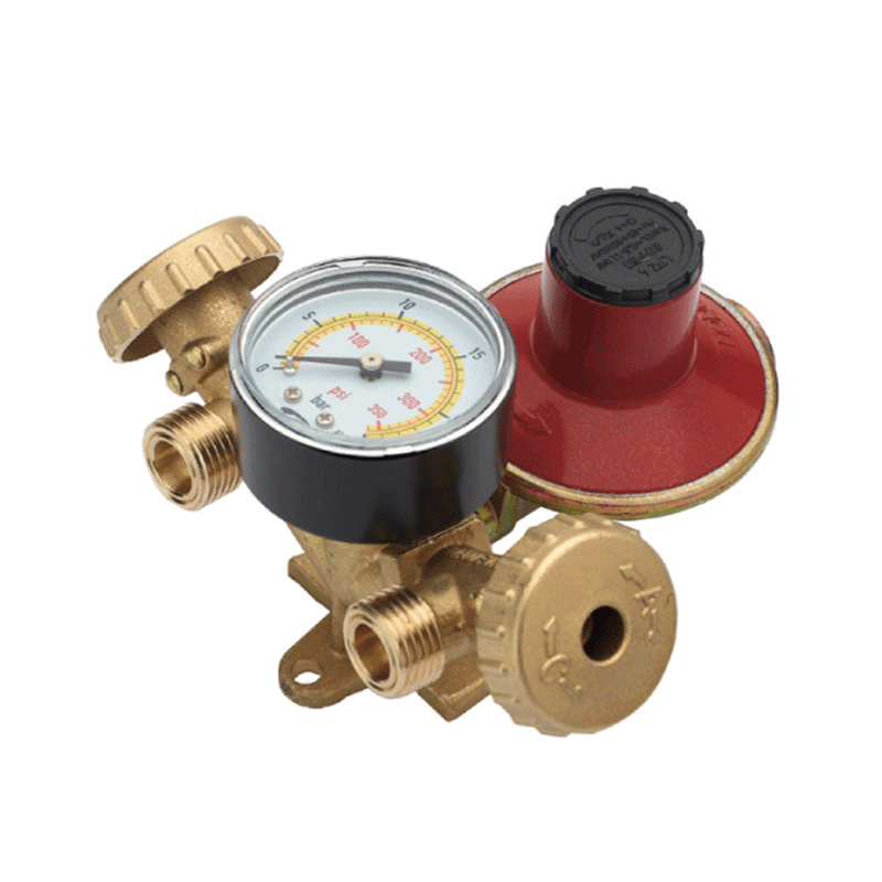 Minicentralina per 2 bombole GPL con manometro – Serie MC2102 Modello Y LPZ 7